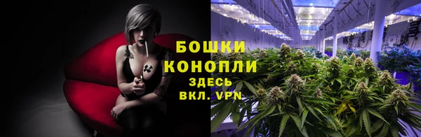 молекула духа Володарск