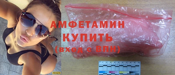мдпв Вяземский